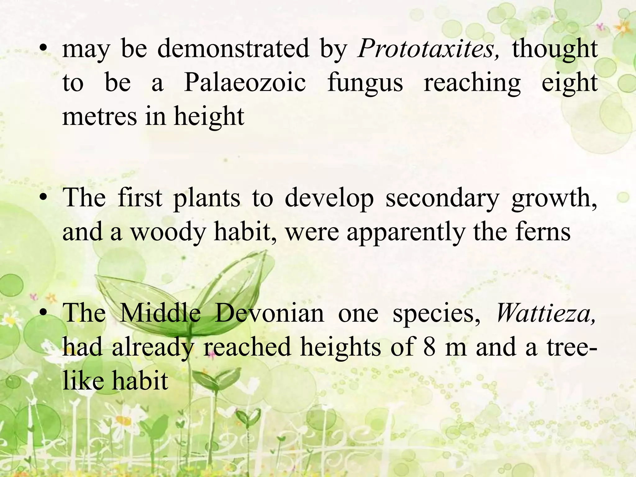 • may be demonstrated by Prototaxites, thought
to be a Palaeozoic fungus reaching eight
metres in height
• The first plants to develop secondary growth,
and a woody habit, were apparently the ferns
• The Middle Devonian one species, Wattieza,
had already reached heights of 8 m and a tree-
like habit
 