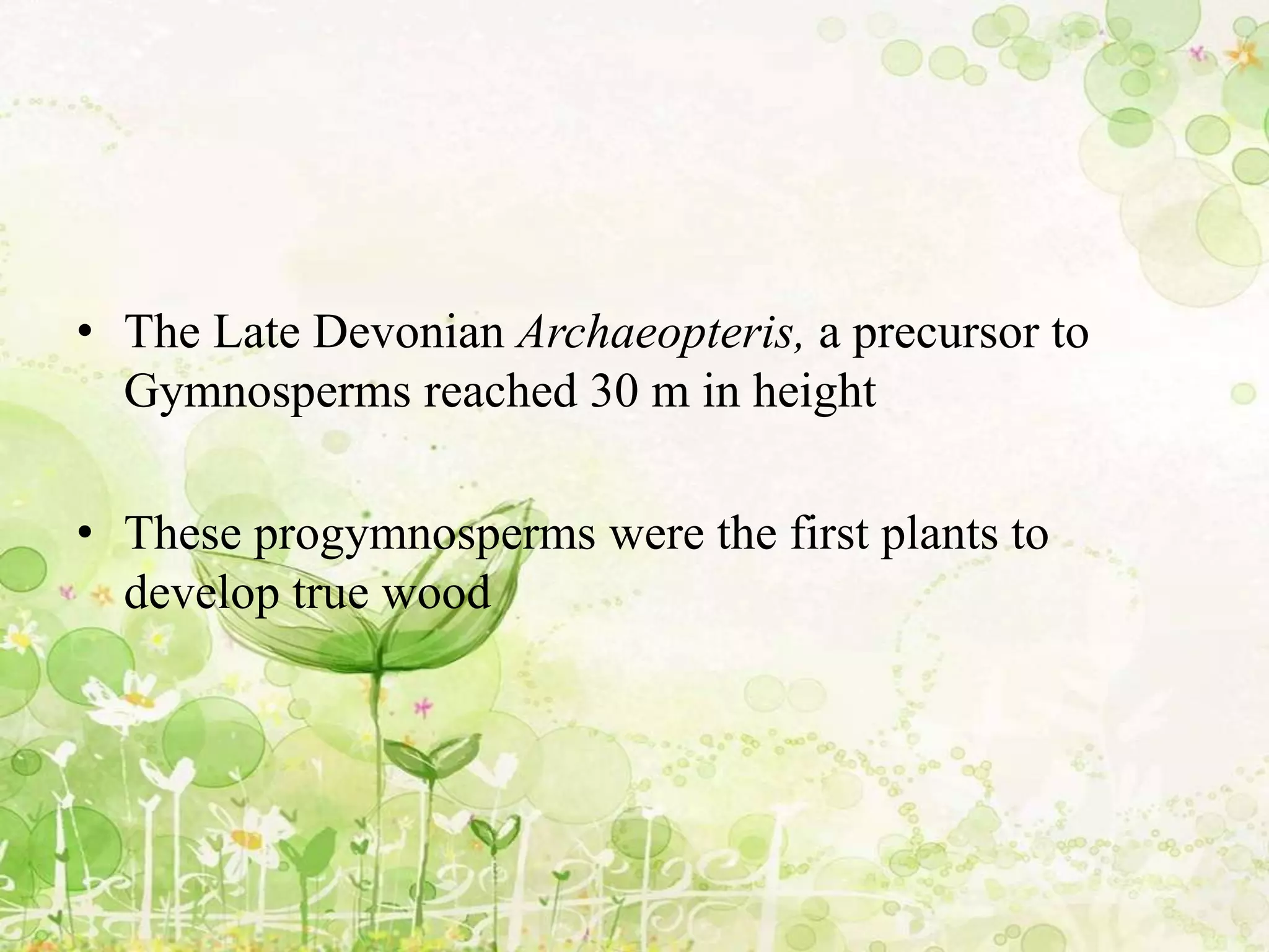 • The Late Devonian Archaeopteris, a precursor to
Gymnosperms reached 30 m in height
• These progymnosperms were the first plants to
develop true wood
 