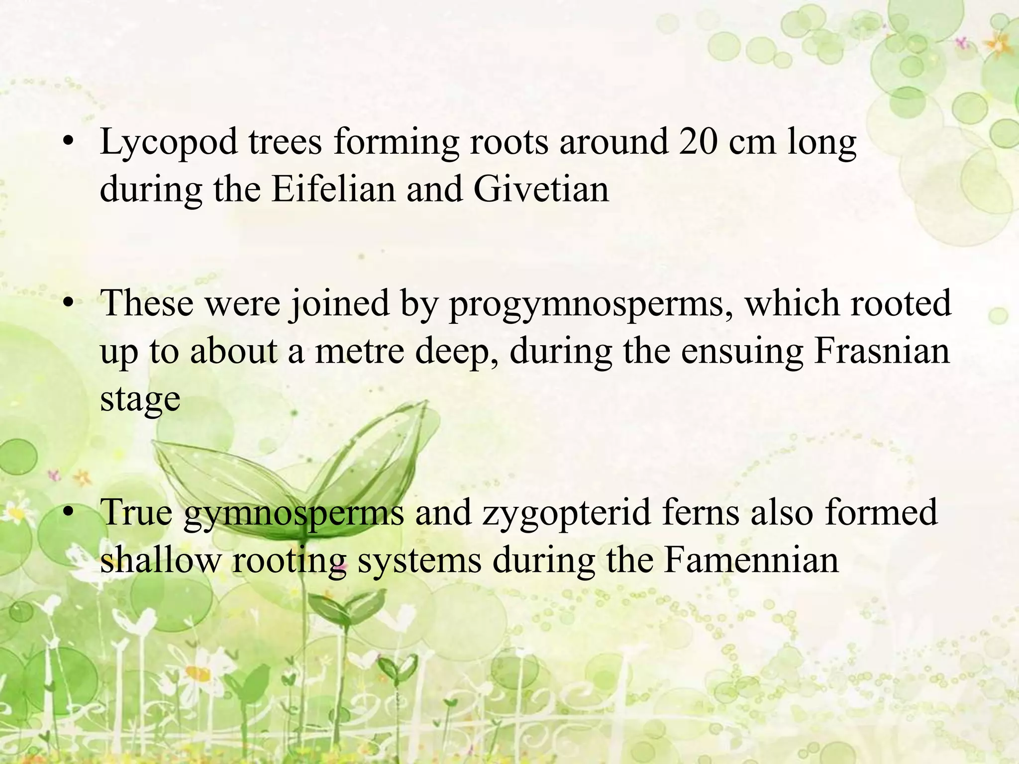 • Lycopod trees forming roots around 20 cm long
during the Eifelian and Givetian
• These were joined by progymnosperms, which rooted
up to about a metre deep, during the ensuing Frasnian
stage
• True gymnosperms and zygopterid ferns also formed
shallow rooting systems during the Famennian
 