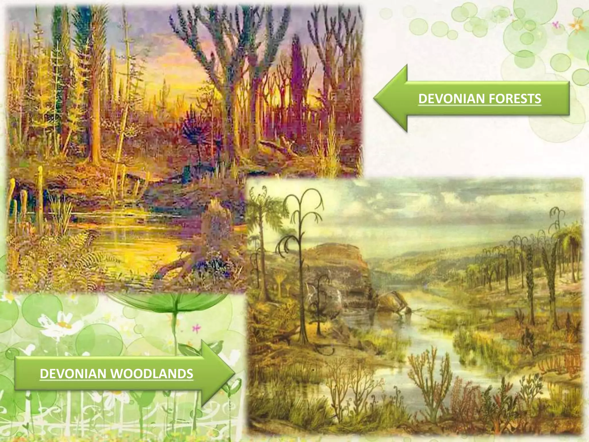 DEVONIAN WOODLANDS
DEVONIAN FORESTS
 