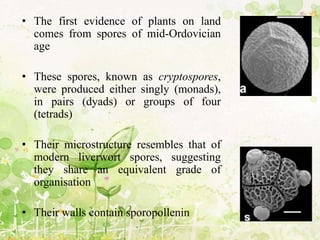 • The first evidence of plants on land
comes from spores of mid-Ordovician
age
• These spores, known as cryptospores,
were produced either singly (monads),
in pairs (dyads) or groups of four
(tetrads)
• Their microstructure resembles that of
modern liverwort spores, suggesting
they share an equivalent grade of
organisation
• Their walls contain sporopollenin
 