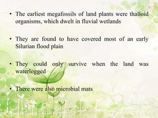 • The earliest megafossils of land plants were thalloid
organisms, which dwelt in fluvial wetlands
• They are found to have covered most of an early
Silurian flood plain
• They could only survive when the land was
waterlogged
• There were also microbial mats
 