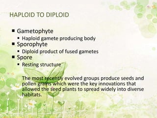 HAPLOID TO DIPLOID
 Gametophyte
 Haploid gamete producing body
 Sporophyte
 Diploid product of fused gametes
 Spore
 Resting structure
The most recently evolved groups produce seeds and
pollen grains which were the key innovations that
allowed the seed plants to spread widely into diverse
habitats.
 