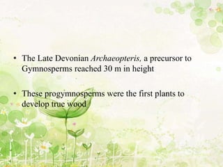 • The Late Devonian Archaeopteris, a precursor to
Gymnosperms reached 30 m in height
• These progymnosperms were the first plants to
develop true wood
 