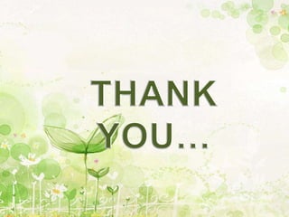 Evolution of plants through different geological time scale