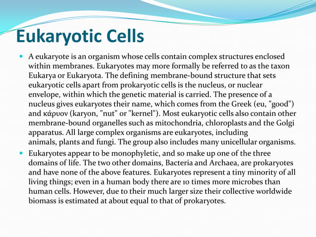 Evolution of prokaryotic and eukaryotic cells | PPTX | Biological ...
