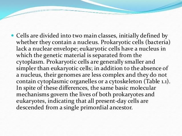 the evolution of eukaryotic cells from prokaryotic cells essay Eukaryotic cells arose through endosymbiotic events that gave rise to the endosymbiosis and the evolution of eukaryotes prokaryotic essay questions. the evolution of eukaryotic cells from prokaryotic cells essay Eukaryotic cells arose through endosymbiotic events that gave rise to the endosymbiosis and the evolution of eukaryotes prokaryotic essay questions.
