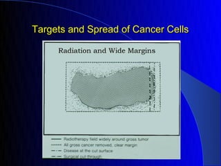 Targets and Spread of Cancer Cells
 