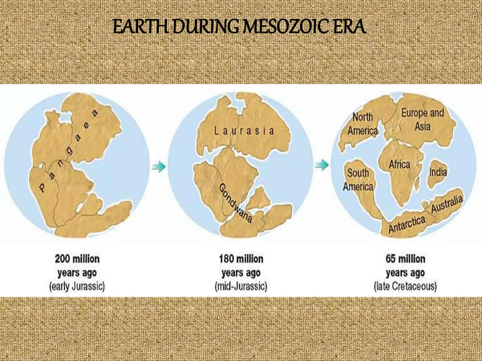 EARTHDURING MESOZOICERA
 