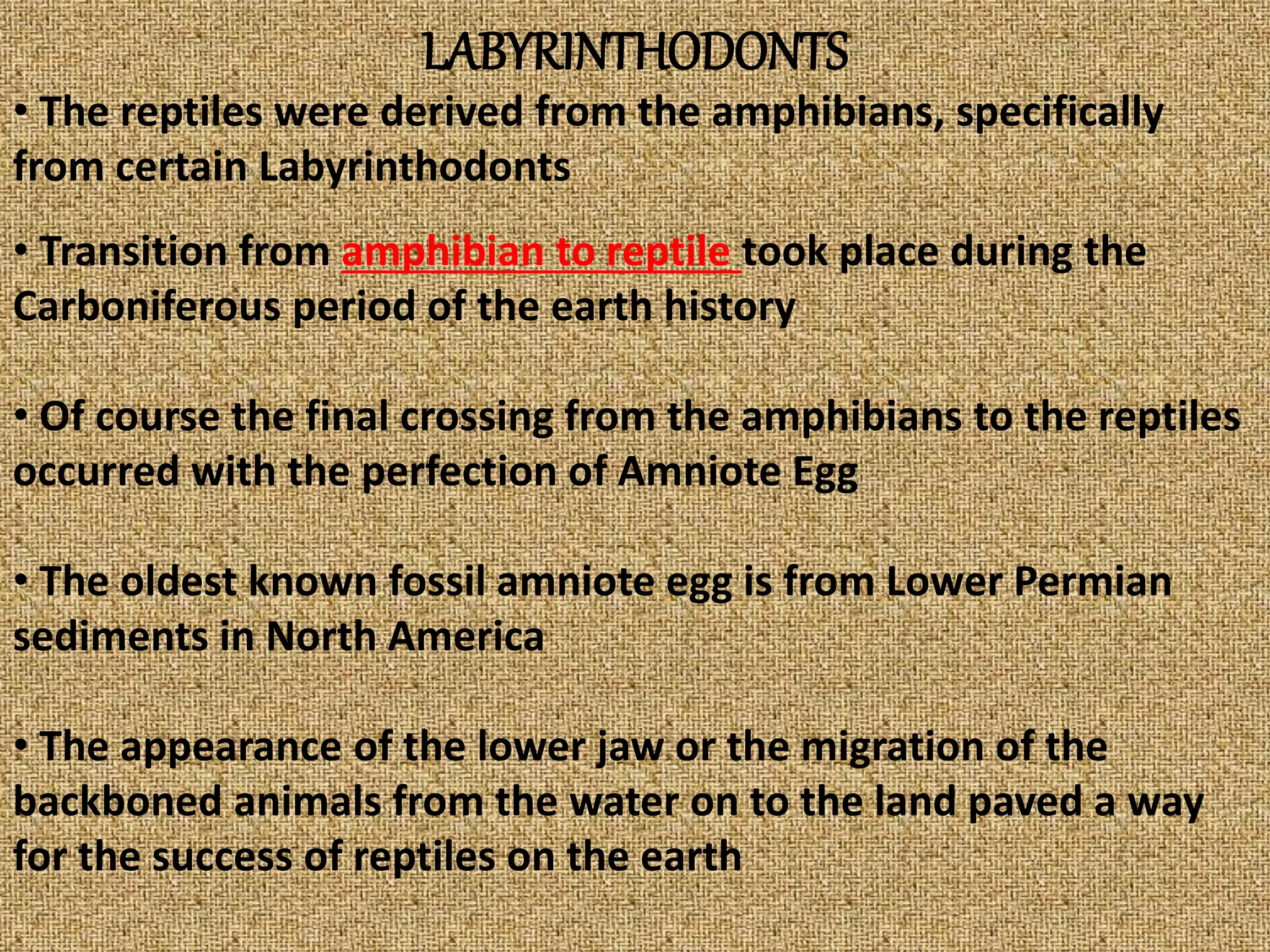 LABYRINTHODONTS
• The reptiles were derived from the amphibians, specifically
from certain Labyrinthodonts
• Transition from amphibian to reptile took place during the
Carboniferous period of the earth history
• Of course the final crossing from the amphibians to the reptiles
occurred with the perfection of Amniote Egg
• The oldest known fossil amniote egg is from Lower Permian
sediments in North America
• The appearance of the lower jaw or the migration of the
backboned animals from the water on to the land paved a way
for the success of reptiles on the earth
 