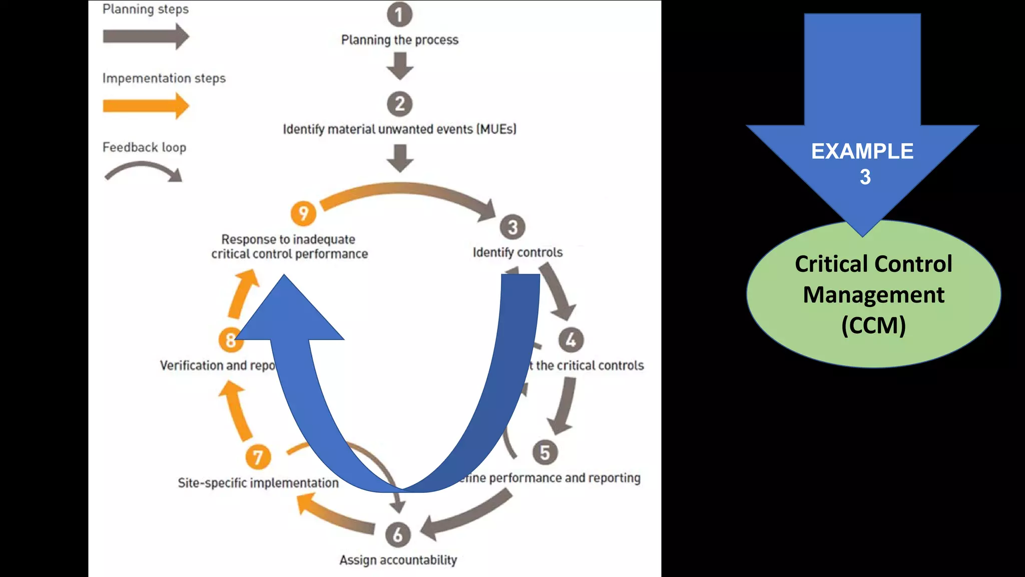 Critical Control
Management
(CCM)
EXAMPLE
3
 
