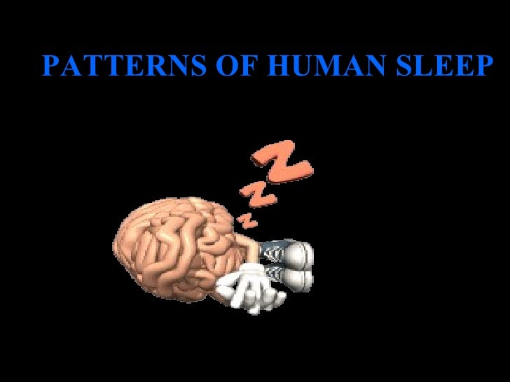 Evolution of sleep