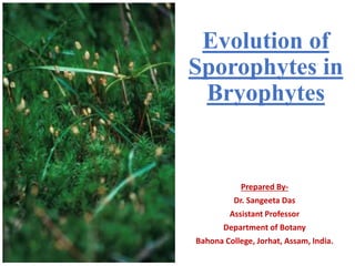Evolution of
Sporophytes in
Bryophytes
Prepared By-
Dr. Sangeeta Das
Assistant Professor
Department of Botany
Bahona College, Jorhat, Assam, India.
 