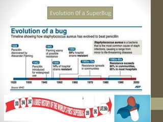 Evolution 0f a SuperBug