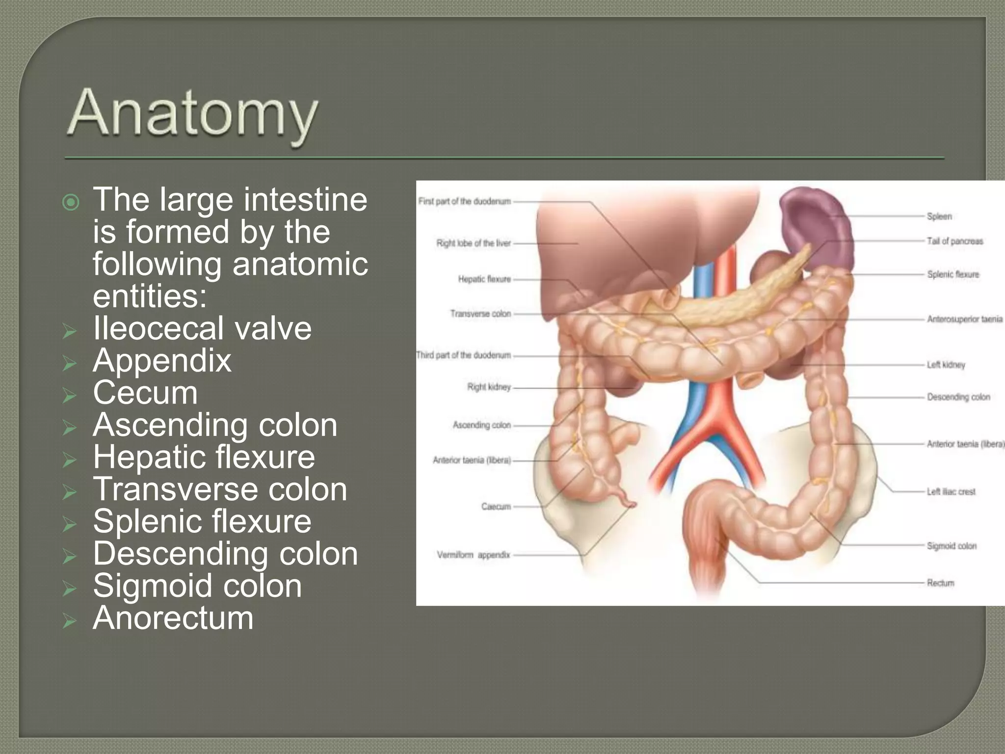 Evolution of surgery in colorectal cancer | PPTX