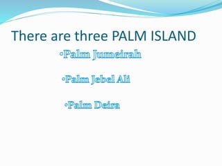 There are three PALM ISLAND
 