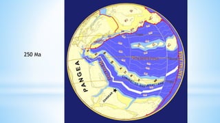 250 Ma
 
