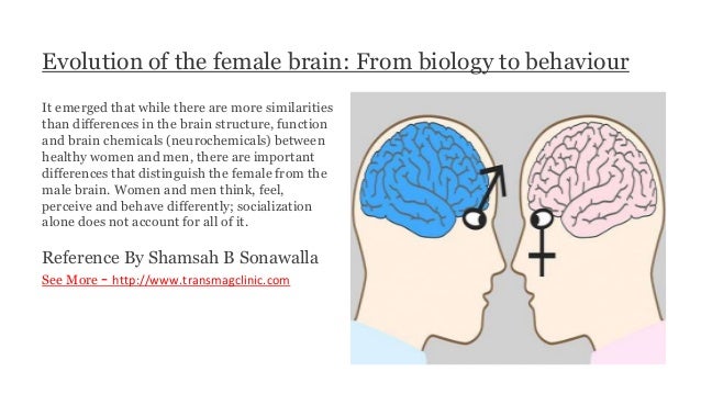 Evolution Of The Female Brain From Biology To Behaviour