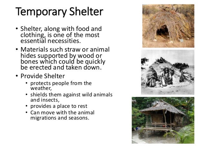 Evolution of the house and home