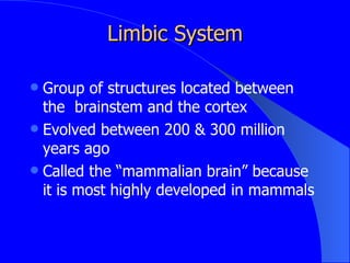 Evolution Of The Nervous System | PPT