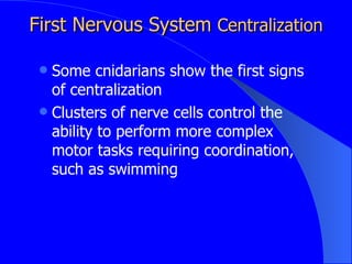 Evolution Of The Nervous System | PPT
