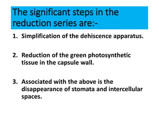 The significant steps in the
reduction series are:-
1. Simplification of the dehiscence apparatus.
2. Reduction of the green photosynthetic
tissue in the capsule wall.
3. Associated with the above is the
disappearance of stomata and intercellular
spaces.
 