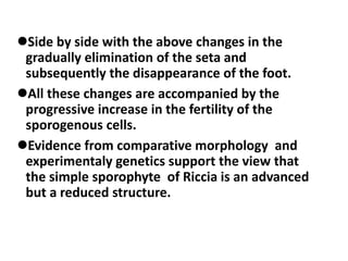 Side by side with the above changes in the
gradually elimination of the seta and
subsequently the disappearance of the foot.
All these changes are accompanied by the
progressive increase in the fertility of the
sporogenous cells.
Evidence from comparative morphology and
experimentaly genetics support the view that
the simple sporophyte of Riccia is an advanced
but a reduced structure.
 