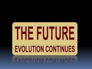 Evolution of the web