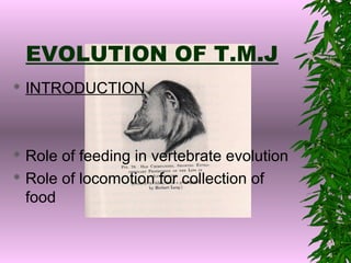EVOLUTION OF T.M.J
 INTRODUCTION
 Role of feeding in vertebrate evolution
 Role of locomotion for collection of
food
 