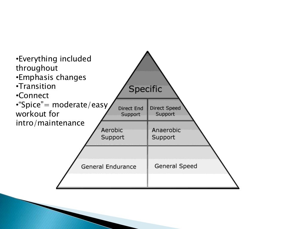 Evolution of training