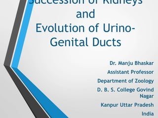 Succession of Kidneys
and
Evolution of Urino-
Genital Ducts
Dr. Manju Bhaskar
Assistant Professor
Department of Zoology
D. B. S. College Govind
Nagar
Kanpur Uttar Pradesh
India
 