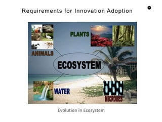 46
Requirements for Innovation Adoption
Evolution in Ecosystem
 