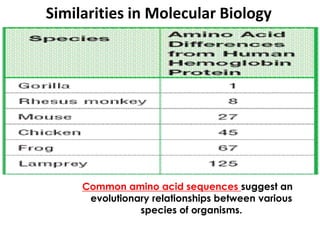 Similarities in Molecular Biology




     Common amino acid sequences suggest an
      evolutionary relationships between various
                species of organisms.
 