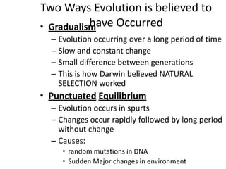 Two Ways Evolution is believed to
           have Occurred
• Gradualism
  – Evolution occurring over a long period of time
  – Slow and constant change
  – Small difference between generations
  – This is how Darwin believed NATURAL
    SELECTION worked
• Punctuated Equilibrium
  – Evolution occurs in spurts
  – Changes occur rapidly followed by long period
    without change
  – Causes:
     • random mutations in DNA
     • Sudden Major changes in environment
 