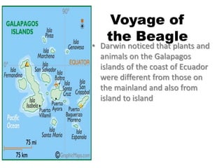 Voyage of
    the Beagle
• Darwin noticed that plants and
  animals on the Galapagos
  islands of the coast of Ecuador
  were different from those on
  the mainland and also from
  island to island
 