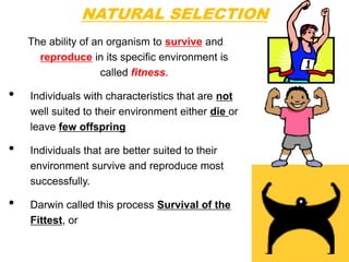 NATURAL SELECTION
    The ability of an organism to survive and
      reproduce in its specific environment is
                    called fitness.

•   Individuals with characteristics that are not
    well suited to their environment either die or
    leave few offspring

•   Individuals that are better suited to their
    environment survive and reproduce most
    successfully.

•   Darwin called this process Survival of the
    Fittest, or Natural Selection.
 