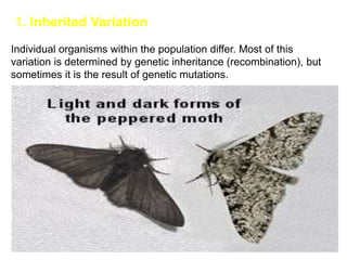 1. Inherited Variation
Individual organisms within the population differ. Most of this
variation is determined by genetic inheritance (recombination), but
sometimes it is the result of genetic mutations.
 