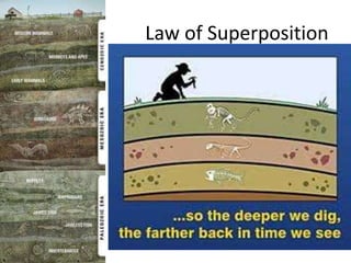 Law of Superposition
 