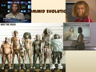 Hominid Evolution
 