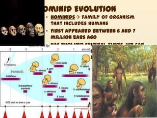 Hominid Evolution
 • Hominids family of organism
   that includes humans
 • First appeared between 6 and 7
   million ears ago
 • Has evolved several times..we can
   tell by looking at fossil
   evidence…Skulls in particular
 