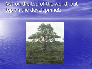 Not on the top of the world, but
top on the developmnet: