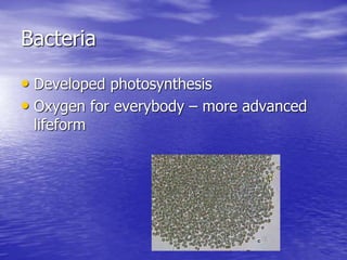 Bacteria
• Developed photosynthesis
• Oxygen for everybody – more advanced
lifeform