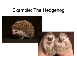FLASH CARD ALERT: EVOLUTIONARY FITNESS: measure of the capacity for successful reproduction in a given environment relative to others of that same species.