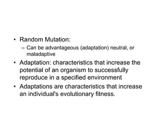 5. A new species arises that co-exists with the ancestorFlightless Birds: Penguin