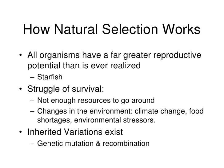 Natural Selection Works On The Of An Individual Organism Natural Selection Works On The Of An Individual Organism
