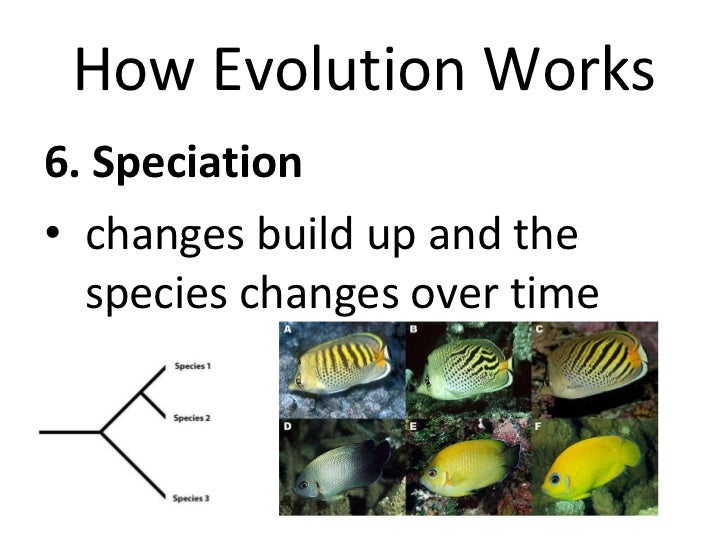 evolution powerpoint works evolution