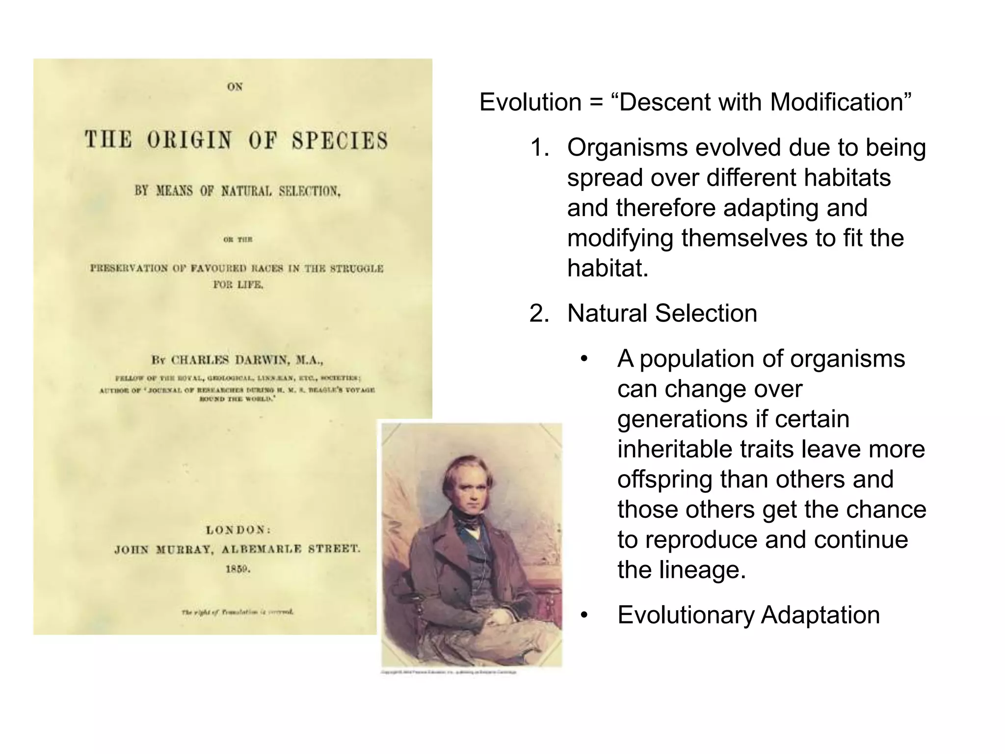 Evolution = “Descent with Modification”
    1. Organisms evolved due to being
       spread over different habitats
       and therefore adapting and
       modifying themselves to fit the
       habitat.
    2. Natural Selection
         •   A population of organisms
             can change over
             generations if certain
             inheritable traits leave more
             offspring than others and
             those others get the chance
             to reproduce and continue
             the lineage.
         •   Evolutionary Adaptation
 