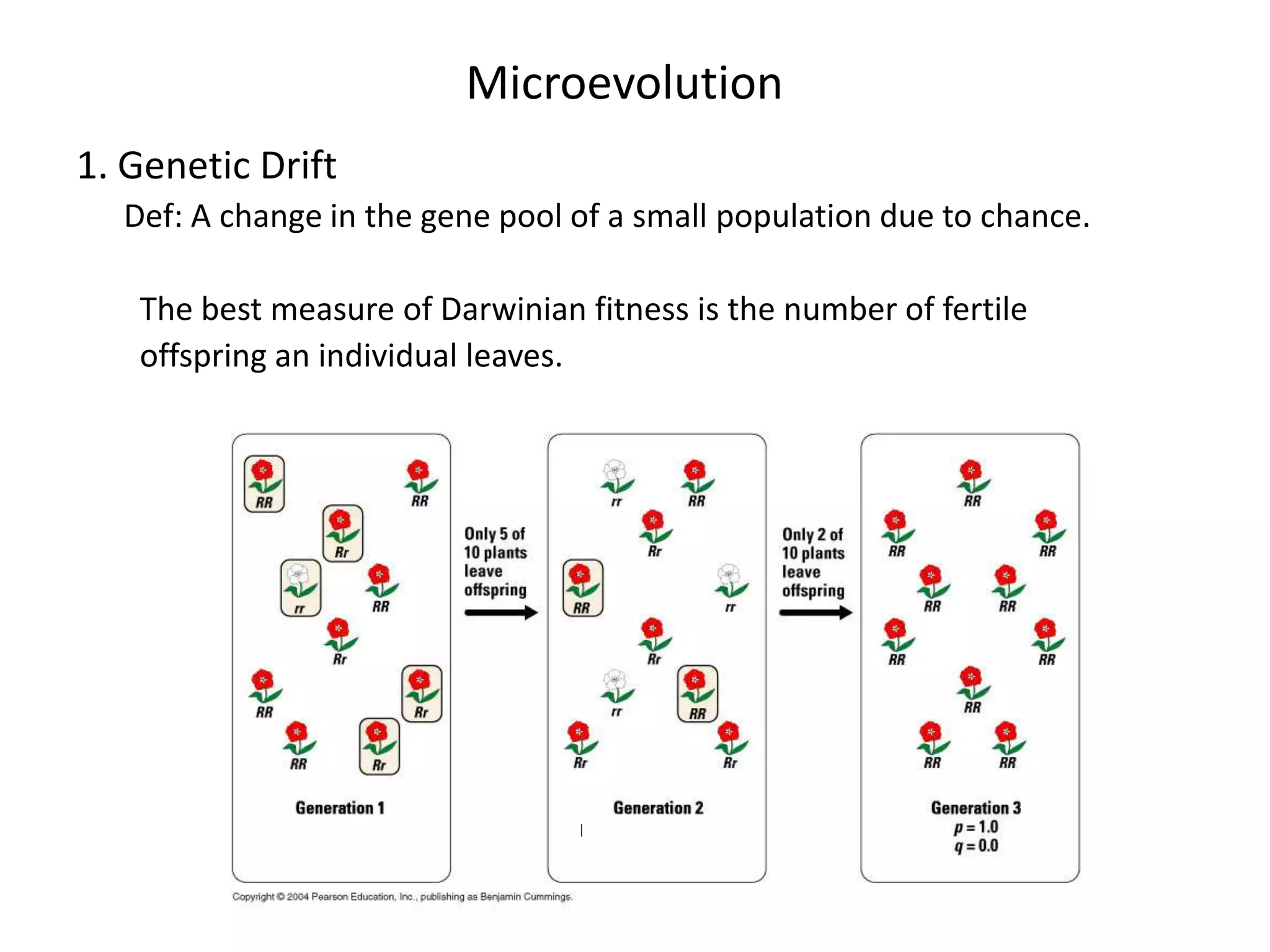 Microevolution
1. Genetic Drift
  Def: A change in the gene pool of a small population due to chance.

   The best measure of Darwinian fitness is the number of fertile
   offspring an individual leaves.
 