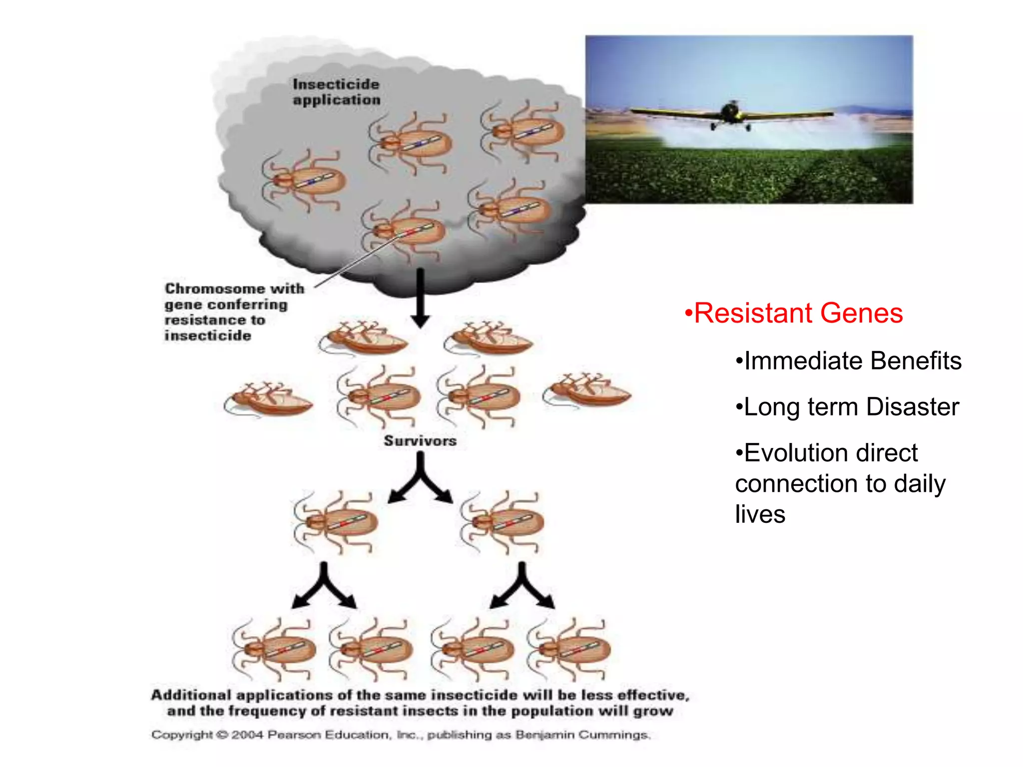 •Resistant Genes
   •Immediate Benefits
   •Long term Disaster
   •Evolution direct
   connection to daily
   lives
 