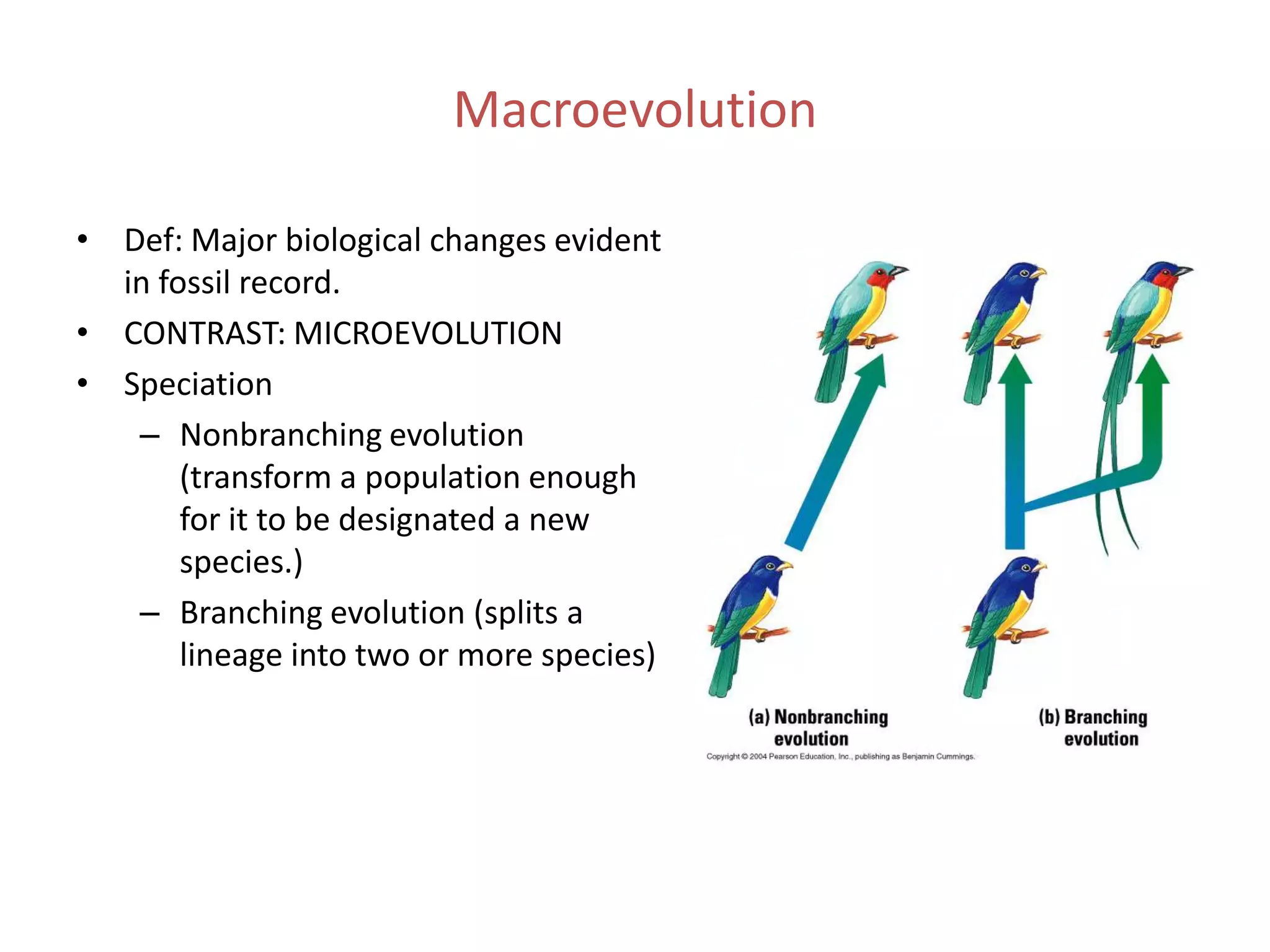 Macroevolution

• Def: Major biological changes evident
  in fossil record.
• CONTRAST: MICROEVOLUTION
• Speciation
   – Nonbranching evolution
       (transform a population enough
       for it to be designated a new
       species.)
   – Branching evolution (splits a
       lineage into two or more species)
 